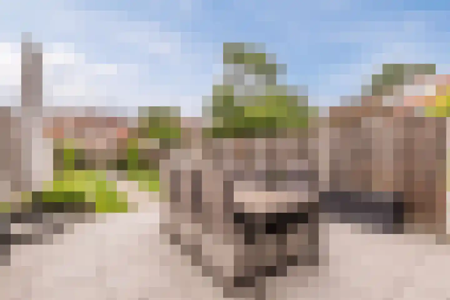 Beatrixhof 28 Tilburg thumbnail 5