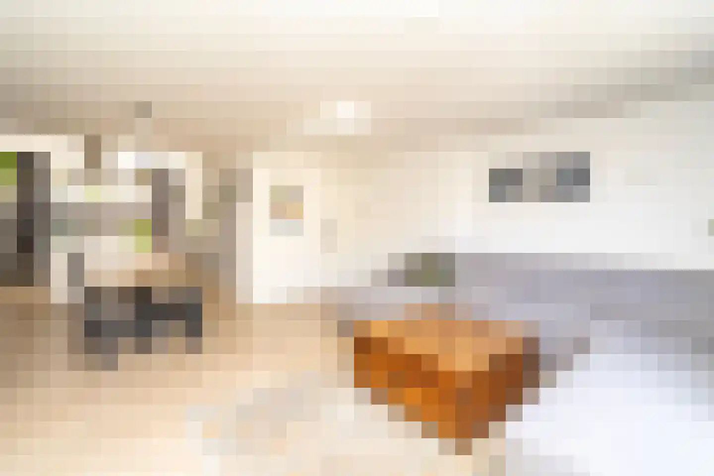 Beatrixhof 9 Tilburg thumbnail 11