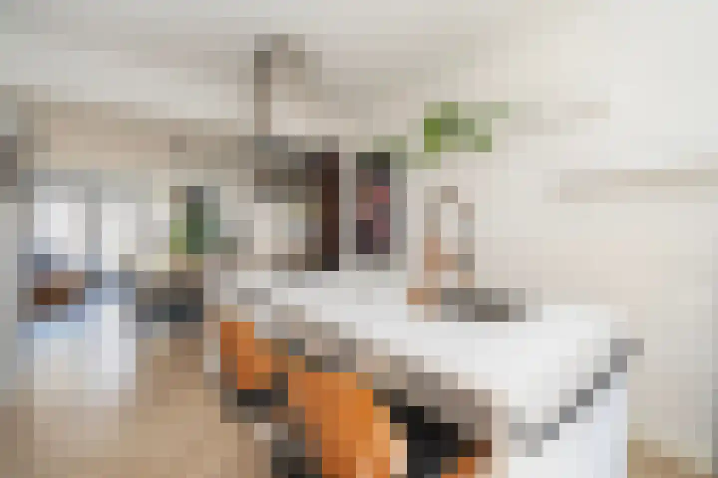 Beatrixhof 9 Tilburg thumbnail 19