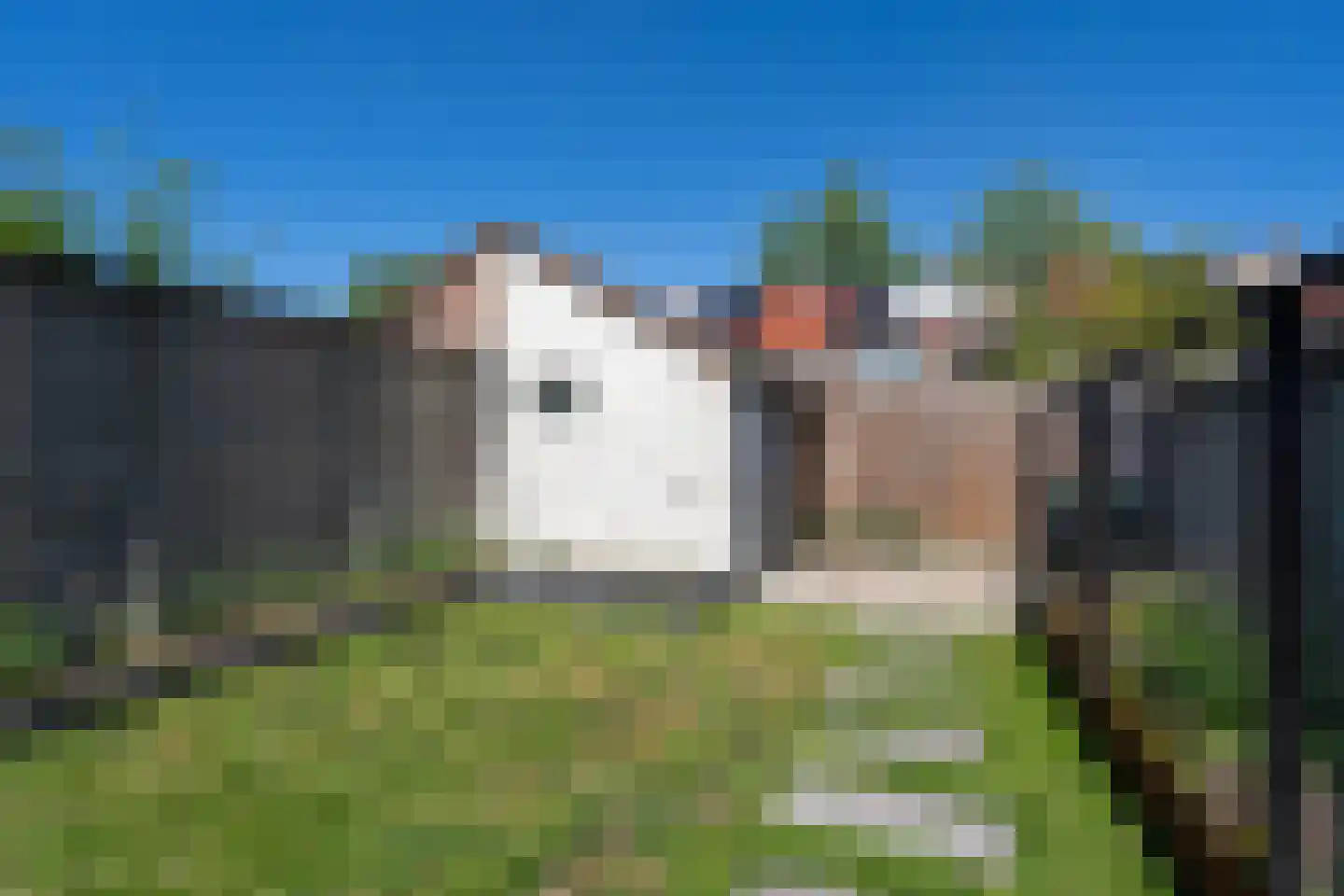 Beatrixhof 9 Tilburg thumbnail 26