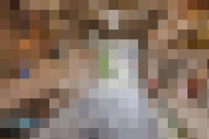 Beatrixlaan 1 B Wageningen thumbnail 55