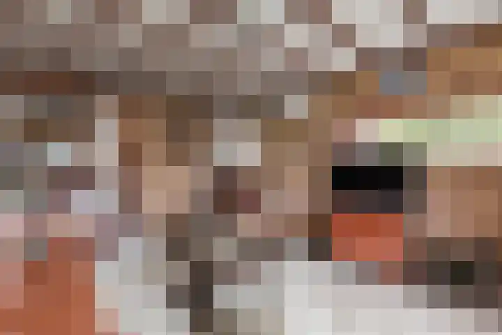 Beatrixlaan 1 B Wageningen thumbnail 8