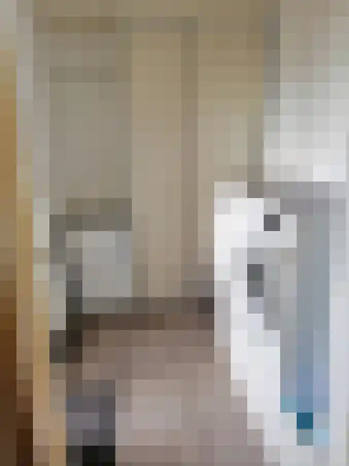 Beatrixlaan 1 Maasbracht thumbnail 19