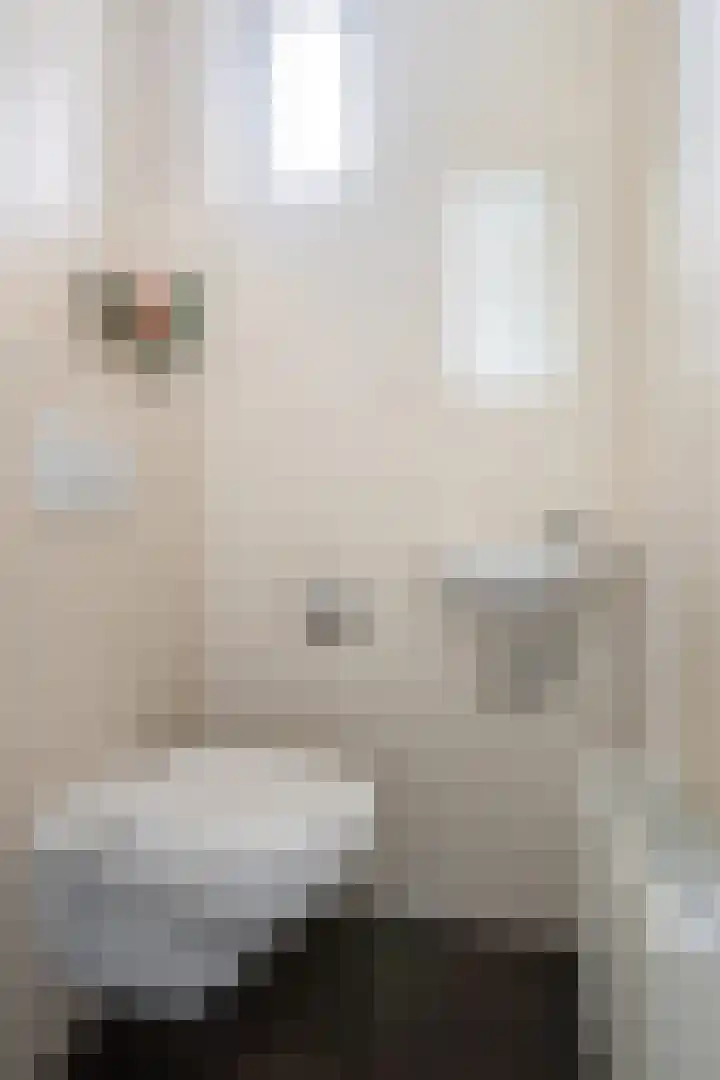 Beatrixlaan 1 Maasbracht thumbnail 20