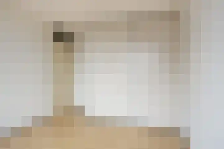Beatrixlaan 1 Maasbracht thumbnail 23
