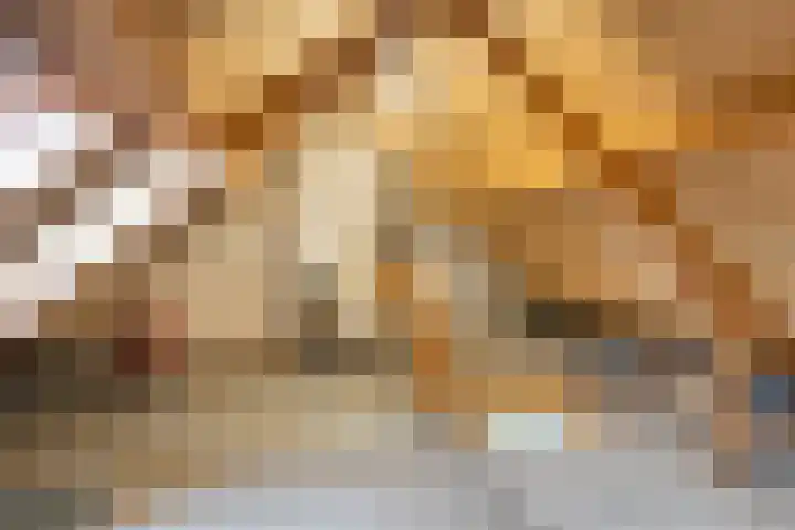 Beatrixlaan 1 Maasbracht thumbnail 29