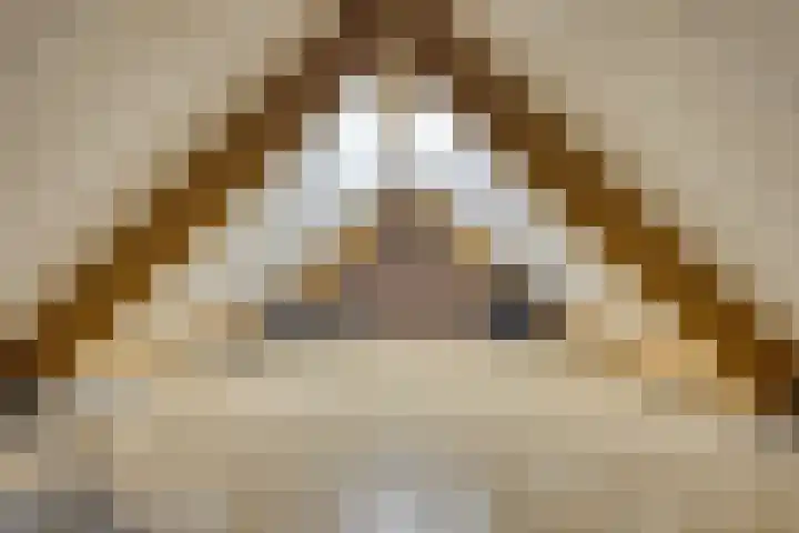 Beatrixlaan 1 Maasbracht thumbnail 31