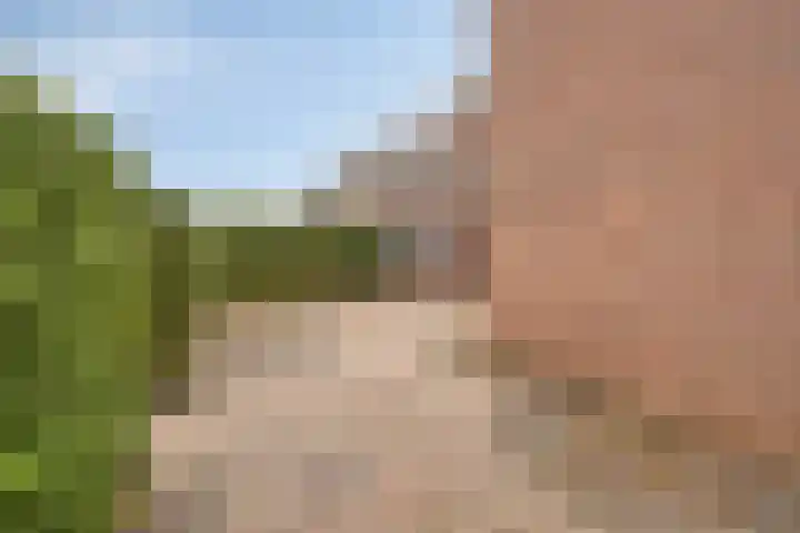 Beatrixlaan 1 Maasbracht thumbnail 33