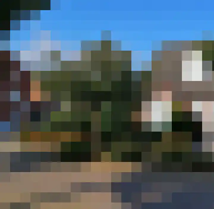 Beatrixlaan 1 Maasbracht thumbnail 4