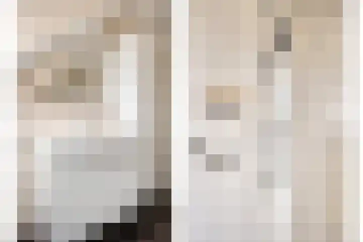 Beatrixlaan 1 Maasbracht thumbnail 42
