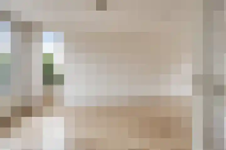 Beatrixlaan 1 Maasbracht thumbnail 9