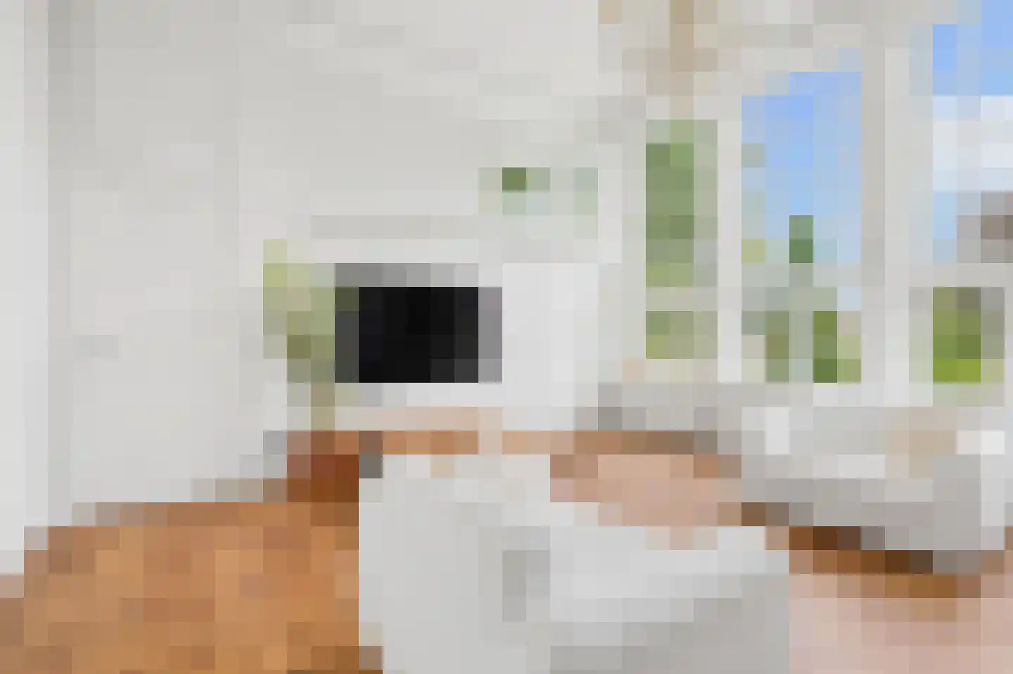 Beatrixlaan 1 Voorthuizen thumbnail 10