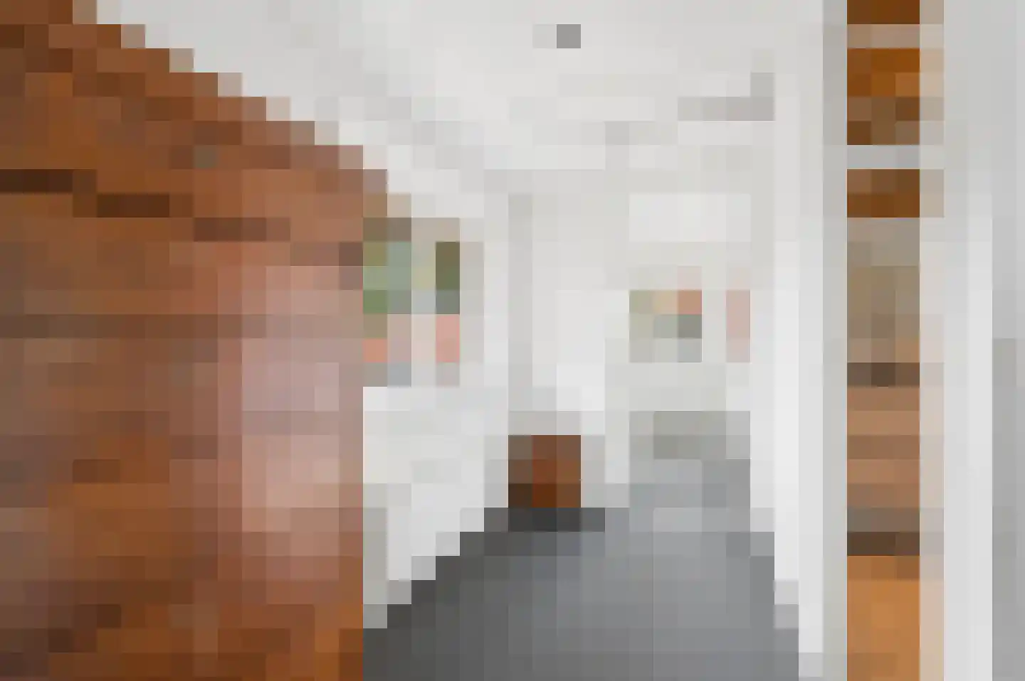 Beatrixlaan 1 Voorthuizen thumbnail 17