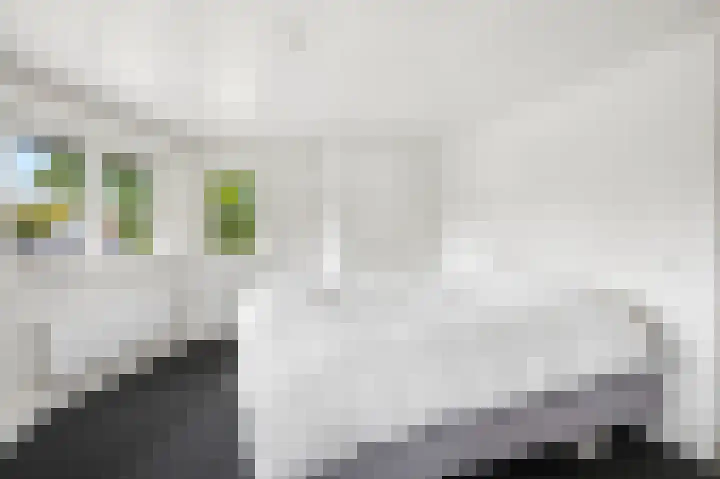 Beatrixlaan 1 Voorthuizen thumbnail 20