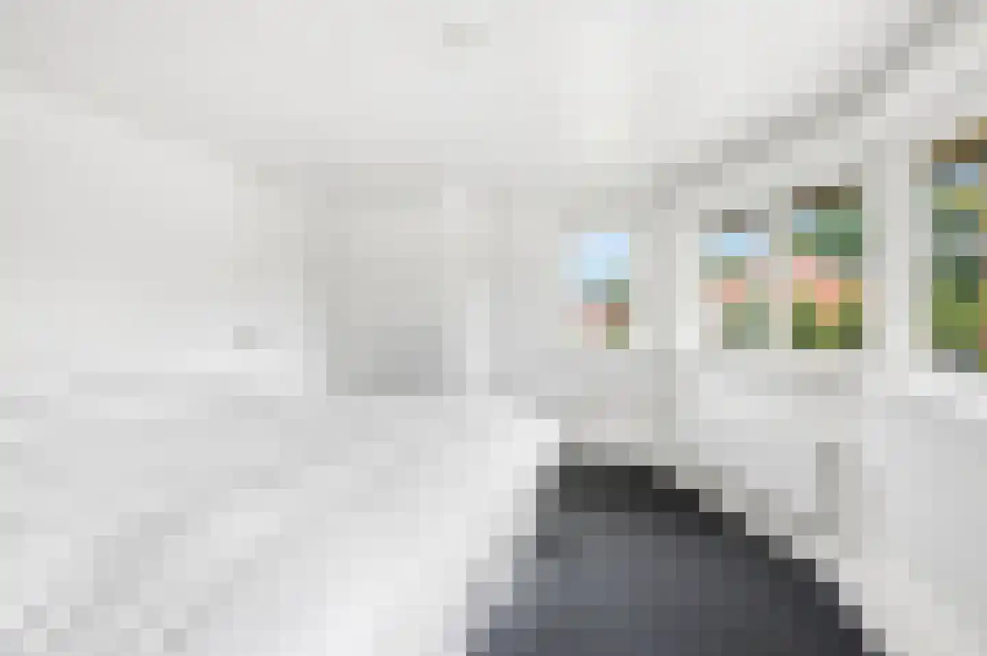 Beatrixlaan 1 Voorthuizen thumbnail 21