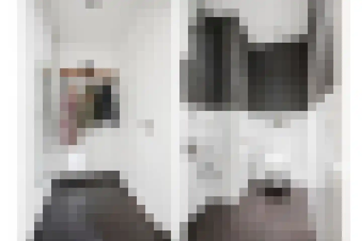 Beatrixlaan 1 Voorthuizen thumbnail 29