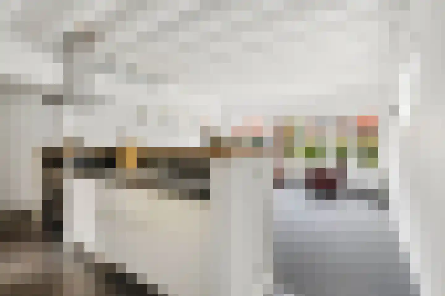 Beatrixlaan 1 Voorthuizen thumbnail 30