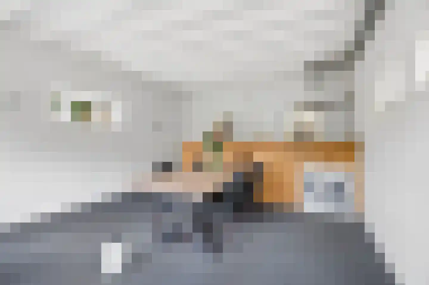 Beatrixlaan 1 Voorthuizen thumbnail 34
