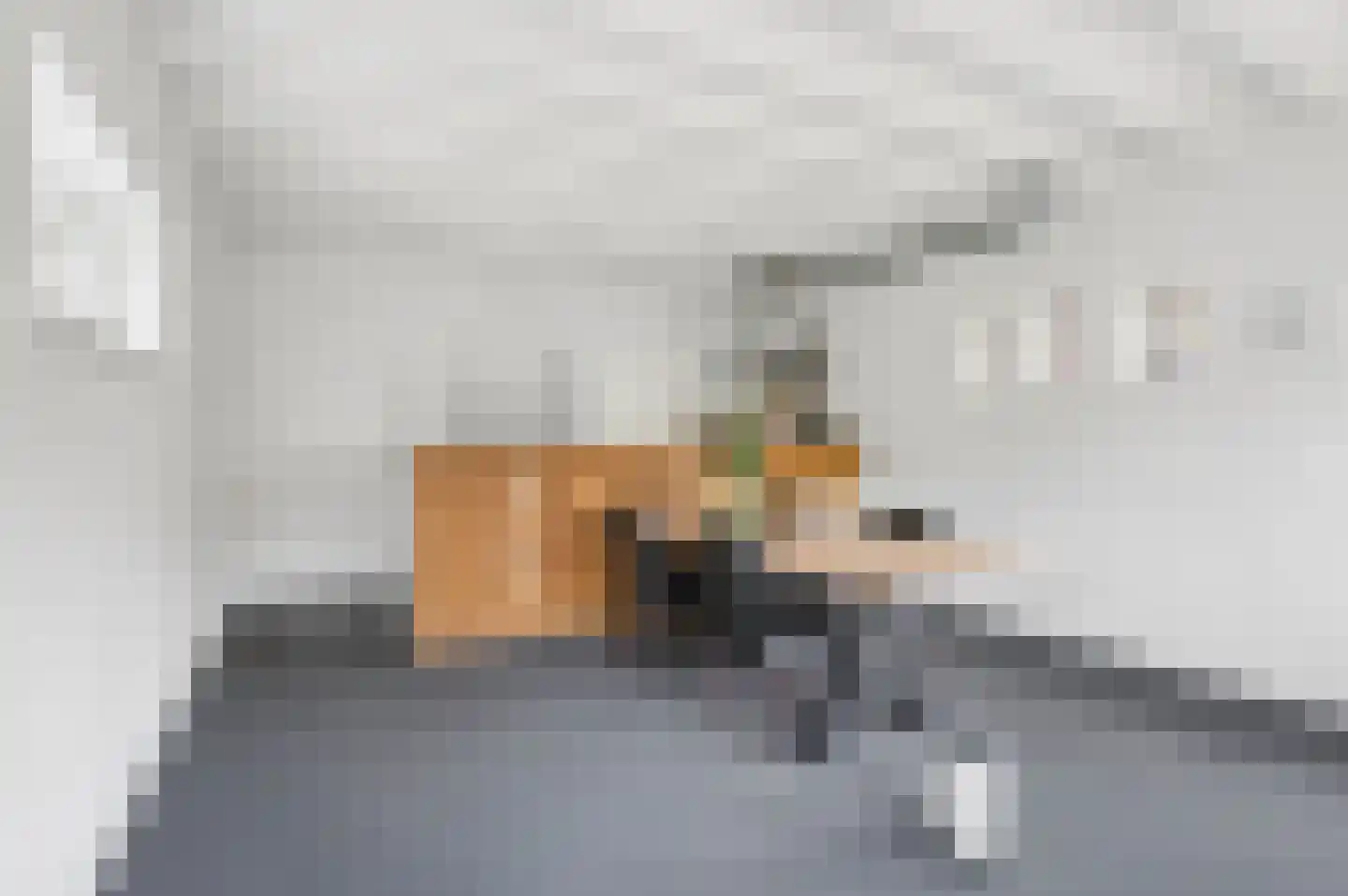 Beatrixlaan 1 Voorthuizen thumbnail 35