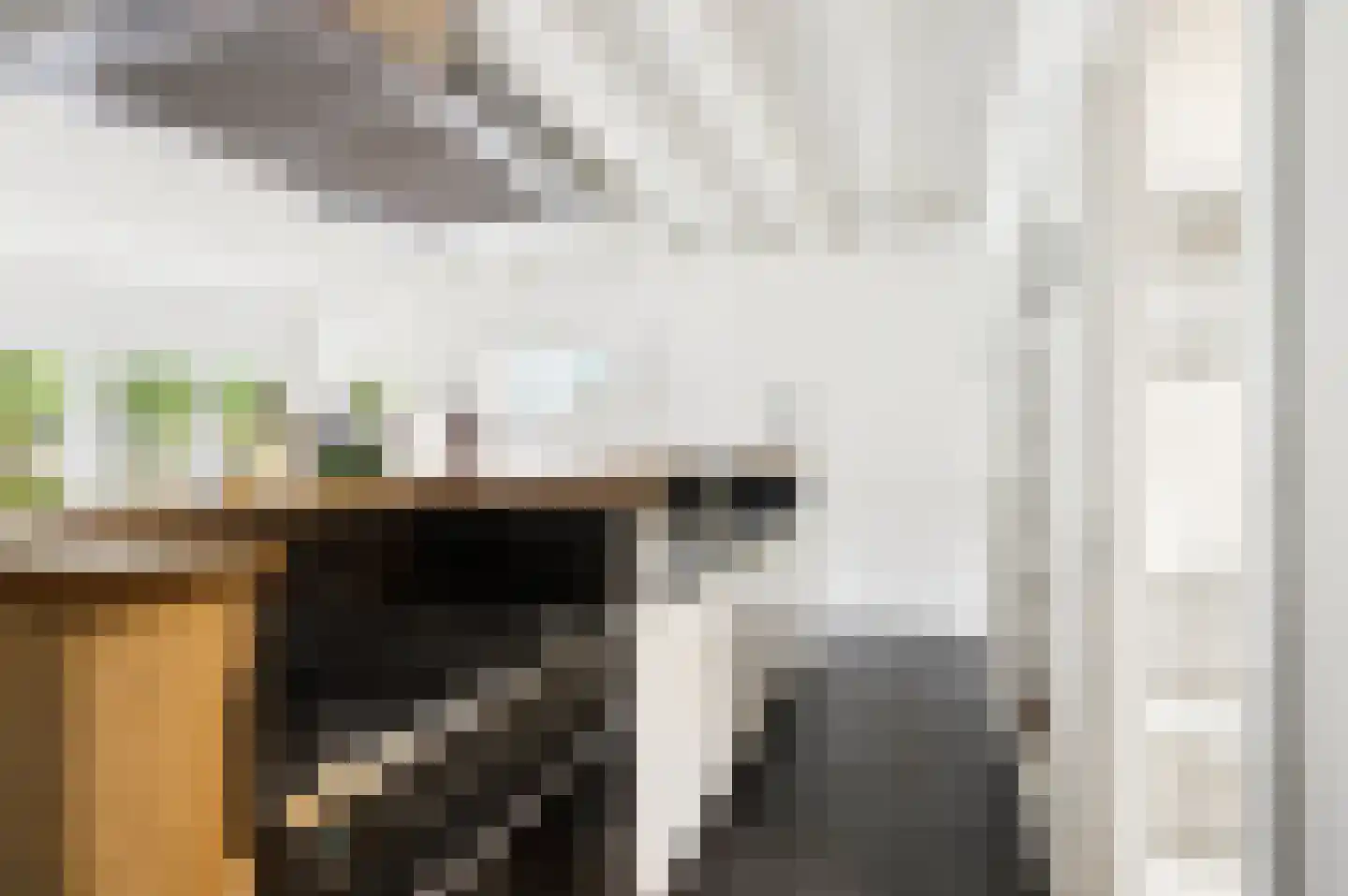 Beatrixlaan 1 Voorthuizen thumbnail 37