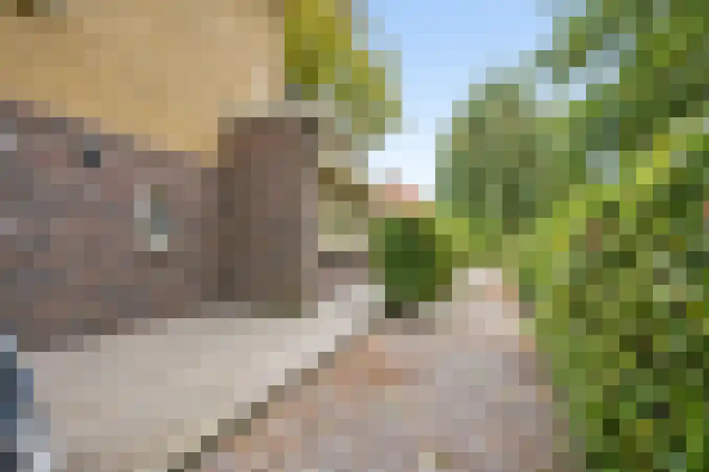 Beatrixlaan 1 Voorthuizen thumbnail 46