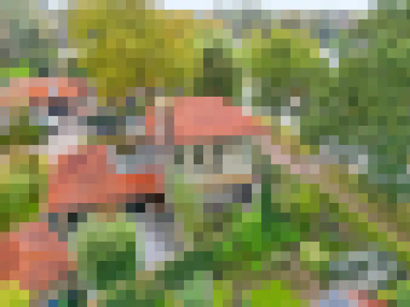 Beatrixlaan 1 Voorthuizen thumbnail 6