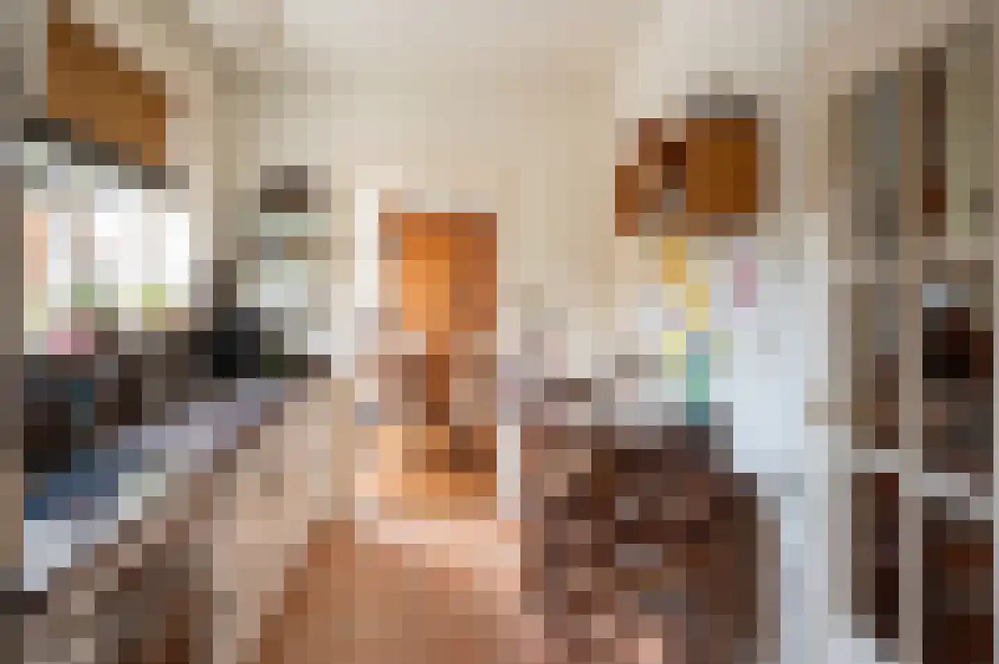 Beatrixlaan 1 Vorden thumbnail 22