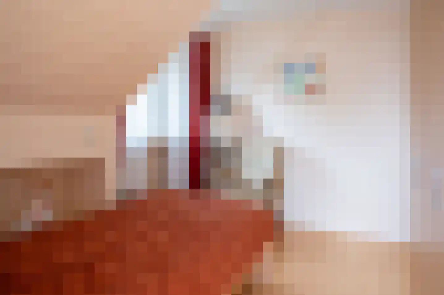 Beatrixlaan 1 Vorden thumbnail 33