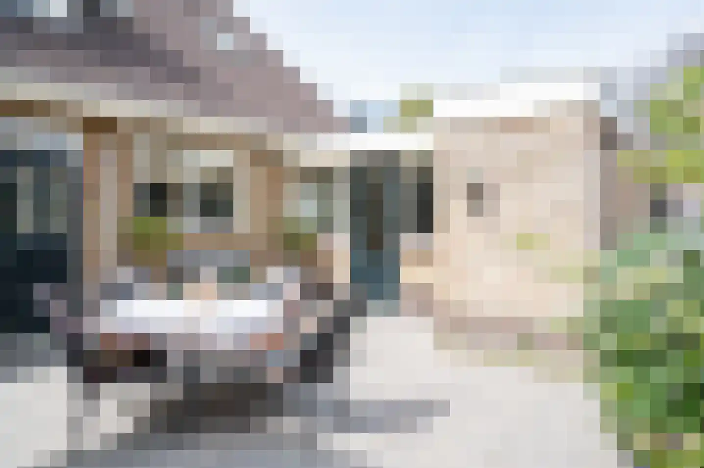 Beatrixlaan 1 Vorden thumbnail 36