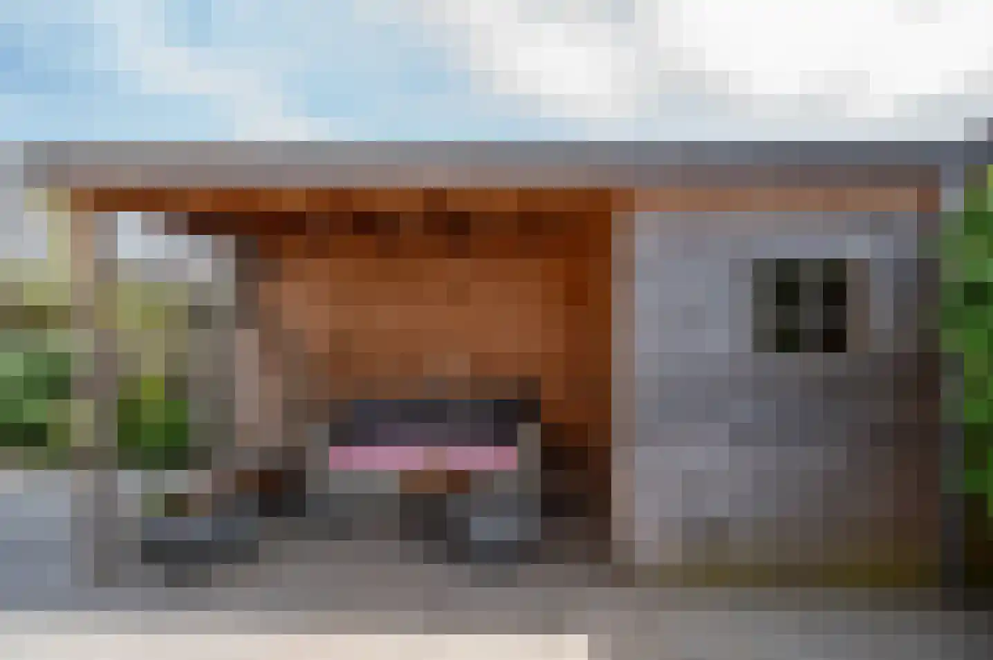 Beatrixlaan 1 Vorden thumbnail 39