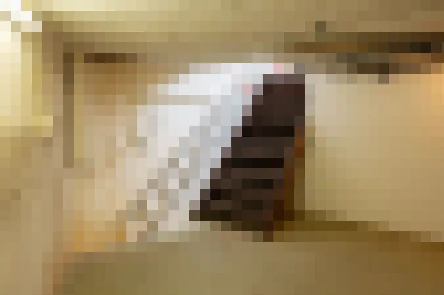 Beatrixlaan 1 Vorden thumbnail 43