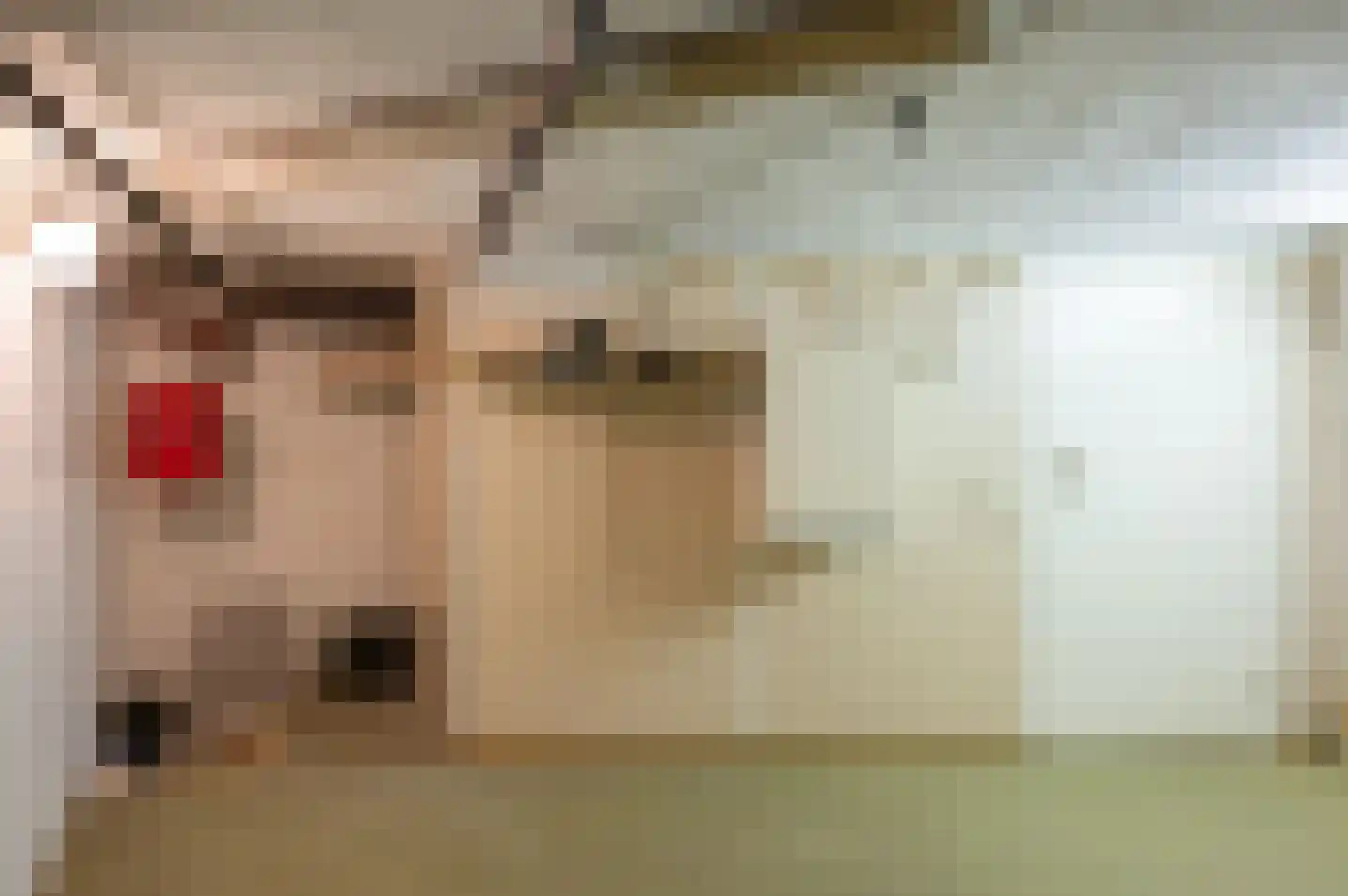 Beatrixlaan 1 Vorden thumbnail 44