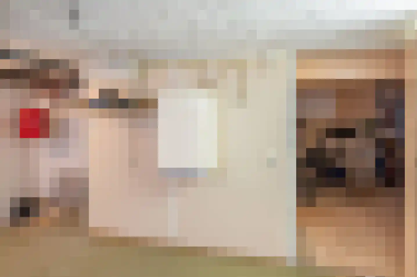Beatrixlaan 1 Vorden thumbnail 45