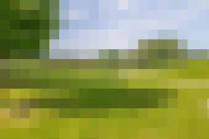 Beatrixlaan 10 Asten thumbnail 16