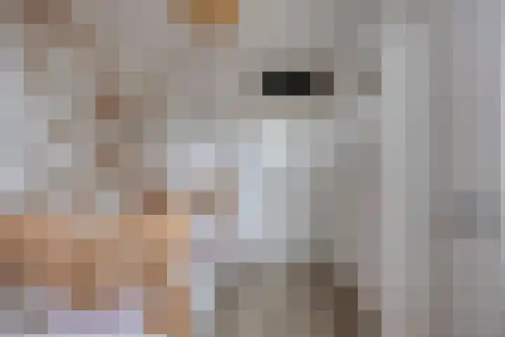 Beatrixlaan 10 Asten thumbnail 18