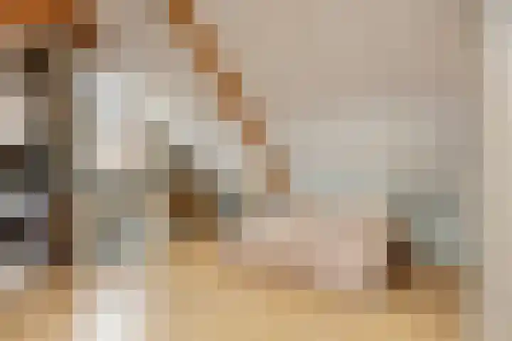 Beatrixlaan 10 Asten thumbnail 22