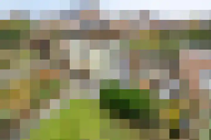 Beatrixlaan 10 Asten thumbnail 24