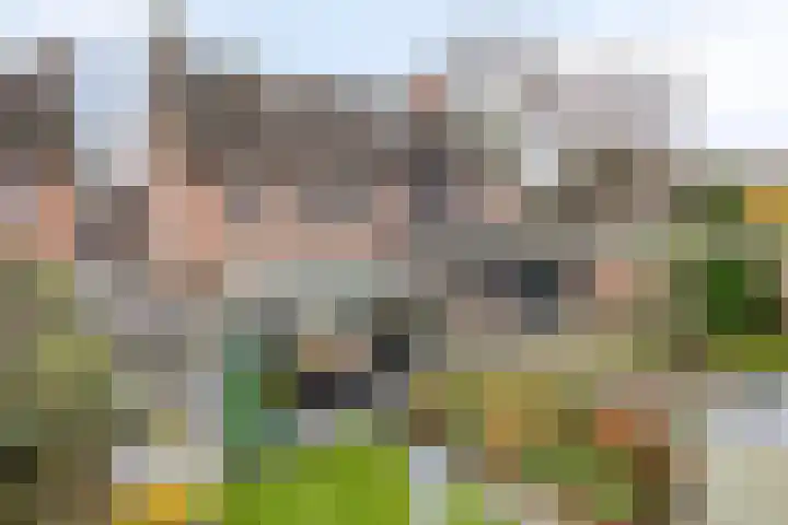 Beatrixlaan 10 Asten thumbnail 27