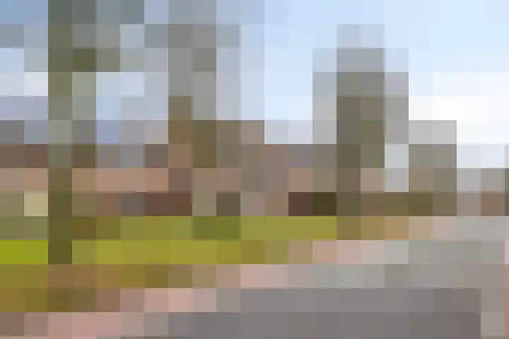 Beatrixlaan 10 Asten thumbnail 35