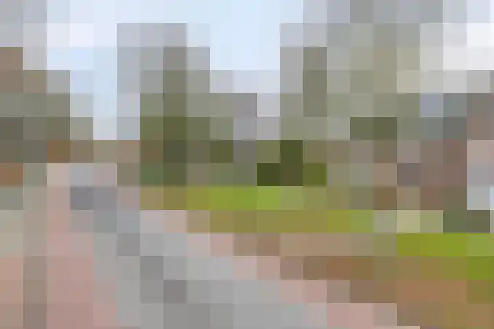 Beatrixlaan 10 Asten thumbnail 36