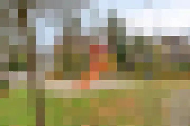 Beatrixlaan 10 Asten thumbnail 39