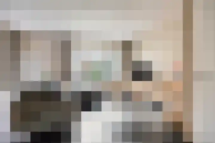 Beatrixlaan 10 Asten thumbnail 8