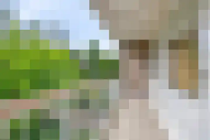 Beatrixlaan 10 Haren Gn thumbnail 22