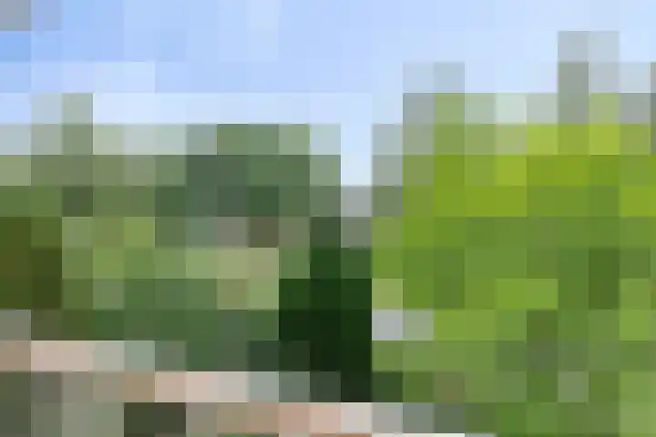 Beatrixlaan 10 Haren Gn thumbnail 24