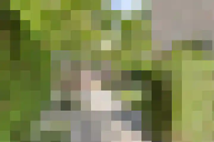 Beatrixlaan 10 Haren Gn thumbnail 29