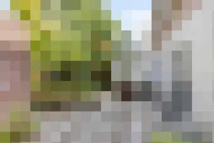 Beatrixlaan 10 Haren Gn thumbnail 30