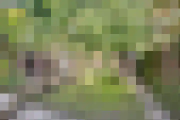 Beatrixlaan 10 Haren Gn thumbnail 32