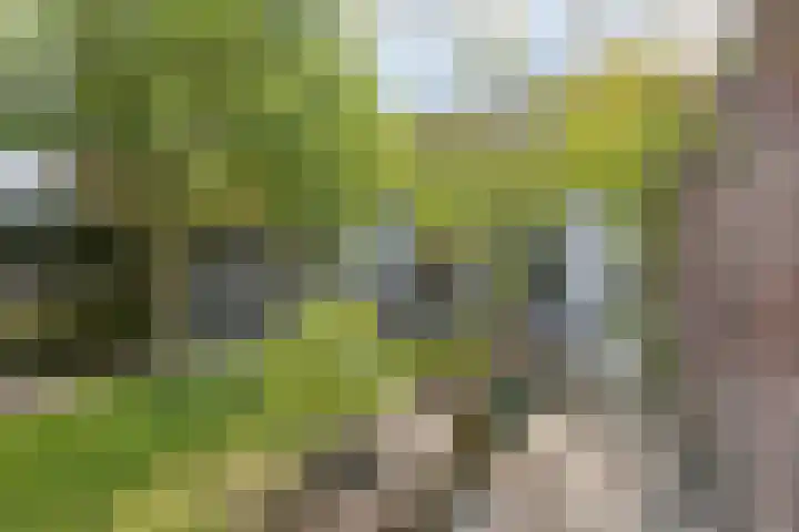 Beatrixlaan 10 Haren Gn thumbnail 33