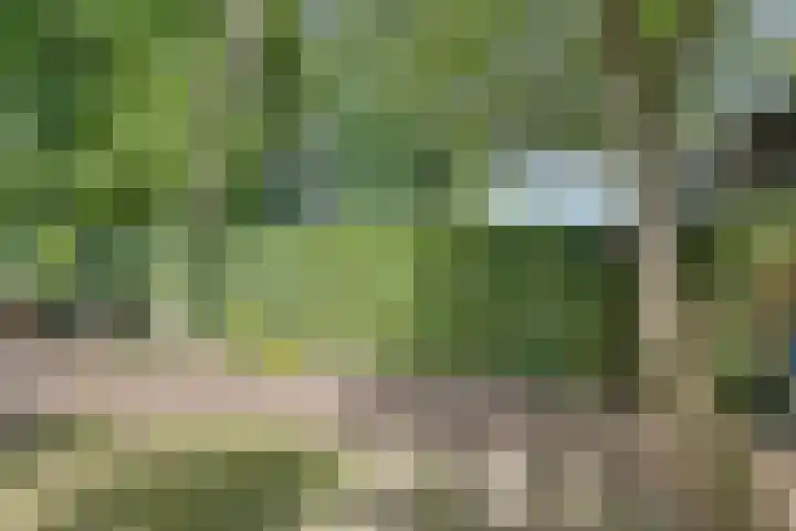 Beatrixlaan 10 Haren Gn thumbnail 35