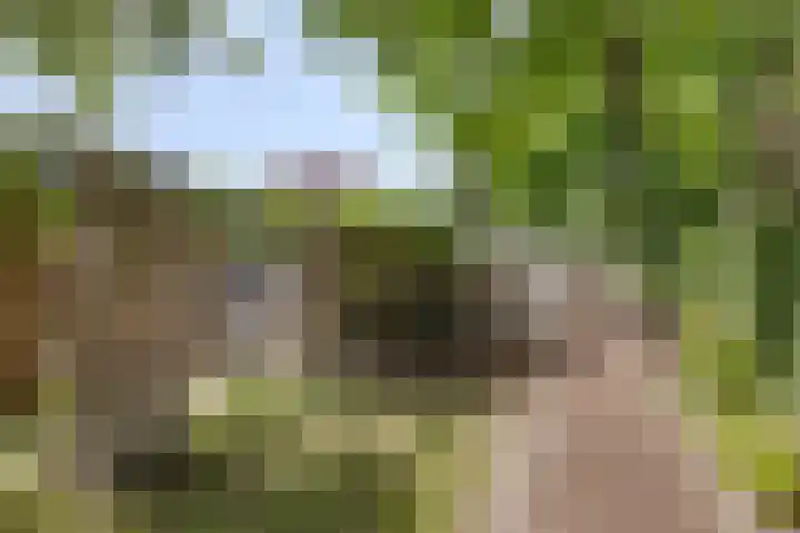 Beatrixlaan 10 Haren Gn thumbnail 36